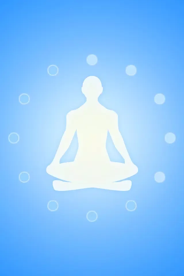 Vipassana স্ক্রিনশট