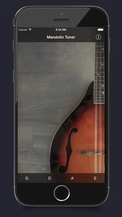 Скриншоты Mandolin Tuner