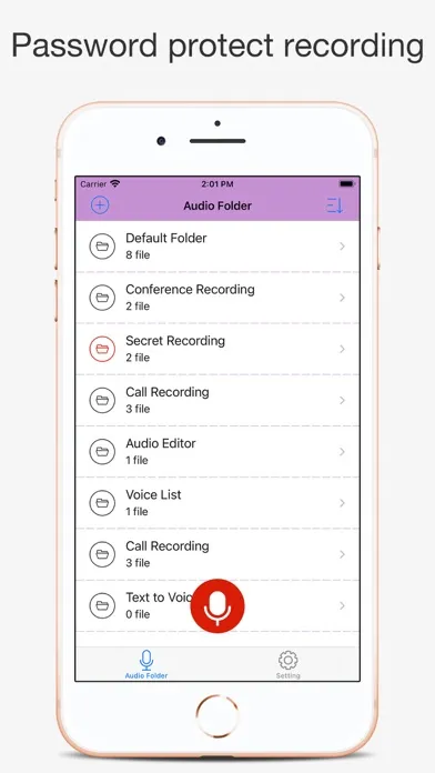 Voice Recorder-call recorder应用截图