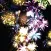 Toddlers Christmas Fireworks