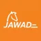 Jawad Movers