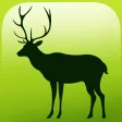 EVO ANIMAL - Augmented Reality