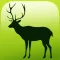 EVO ANIMAL - Augmented Reality