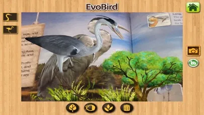 EVO BIRD - Augmented Reality سکرین شاٹس