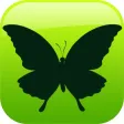 EVO BUG - Augmented Reality