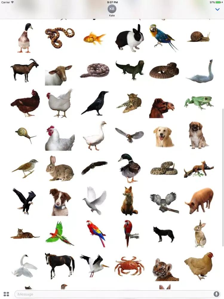 Скриншоты Fun Animals Stickers iPad 