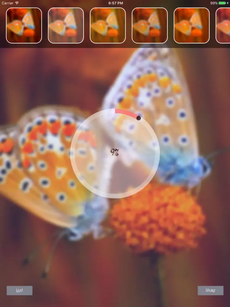 Скриншоты After Blur Photo Effect iPad 