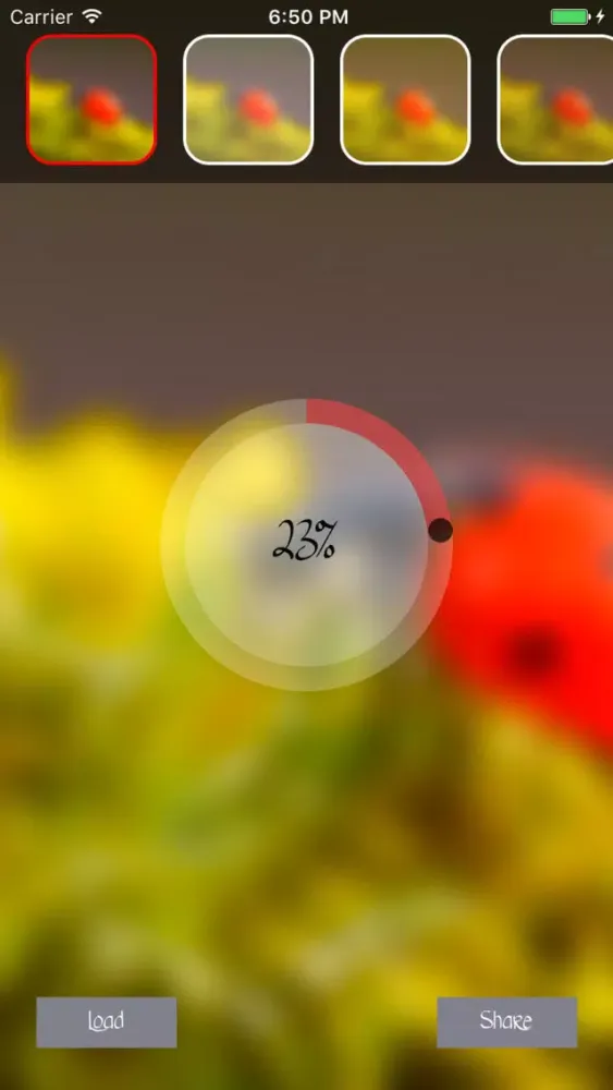Скриншоты After Blur Photo Effect