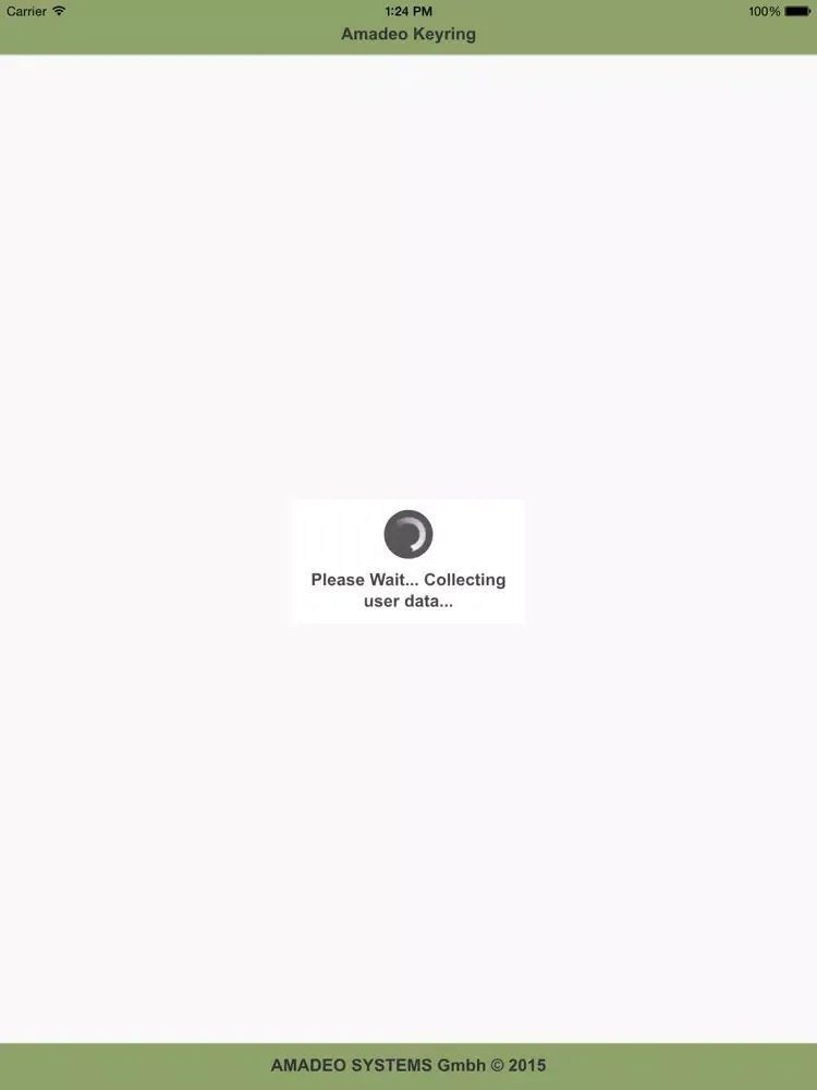 Amadeo Keyring iPad  Screenshots