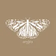 Amala Earth Online Shopping