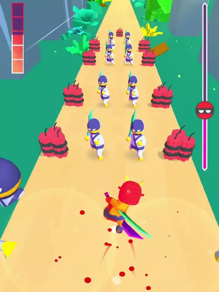 Sword Ninja iPad  Screenshots