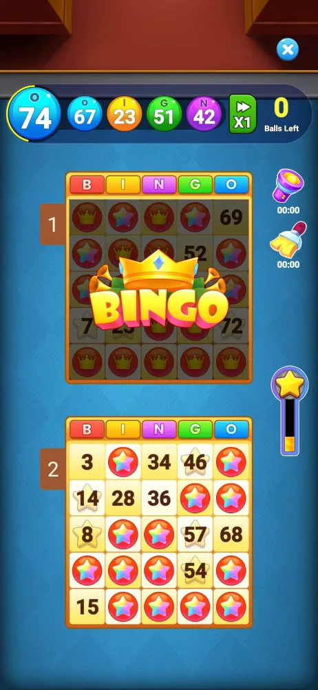 Bingo Amaze应用截图