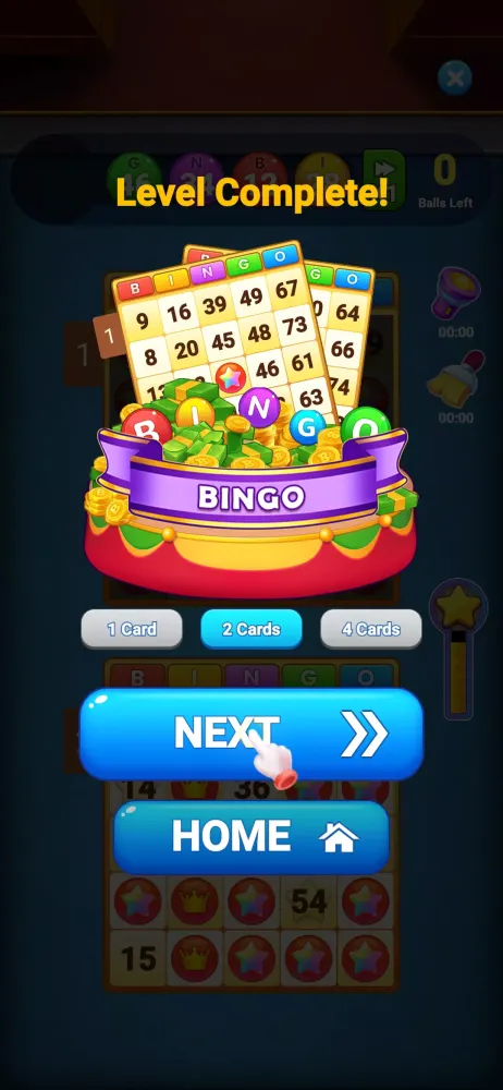 Bingo Amaze应用截图