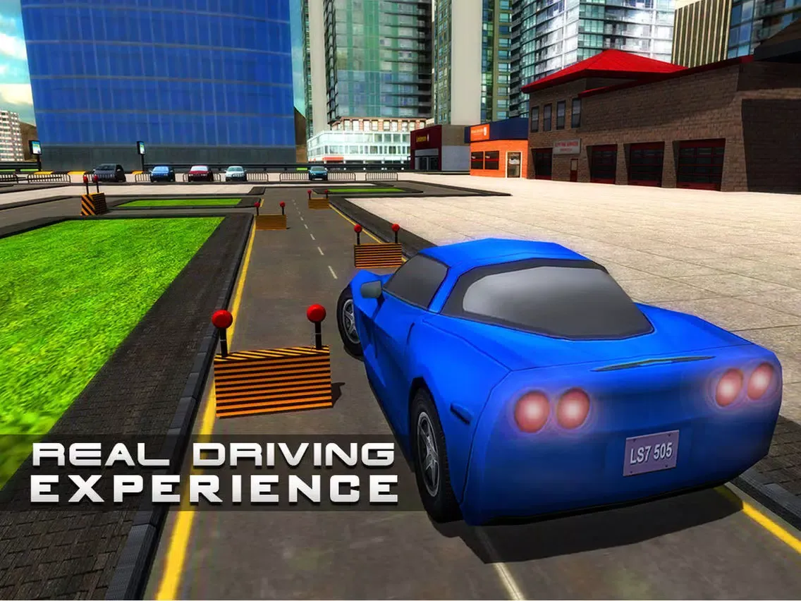 Driving Test Simulator 3D – Real school simulation game iPad 应用截图