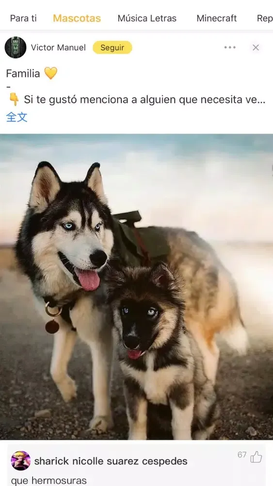Скриншоты Risapp - Disfruta de este mome