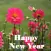 Amazing New Year Greetings