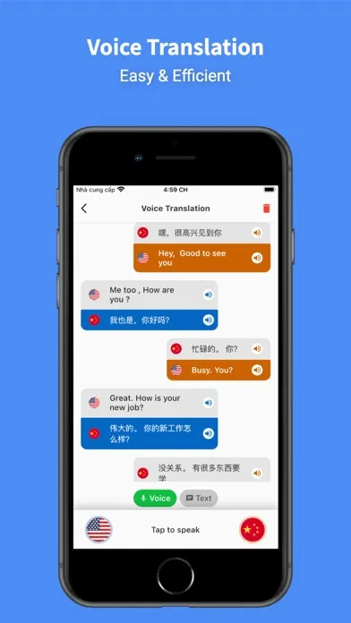 Tangkapan skrin Chinese - English : Translator