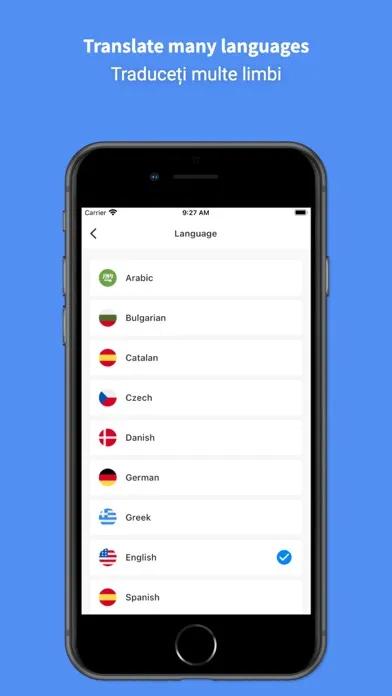 Romanian Translator Pro + স্ক্রিনশট