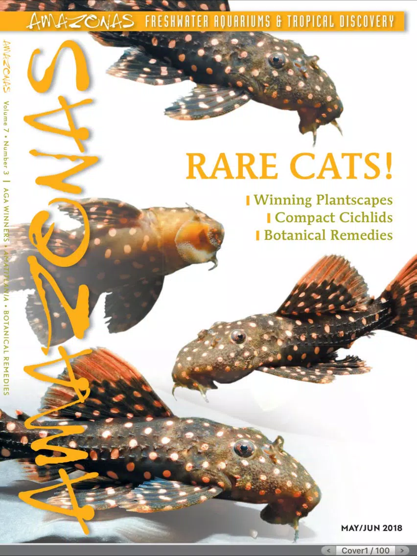 Amazonas Magazine iPad 應用截圖