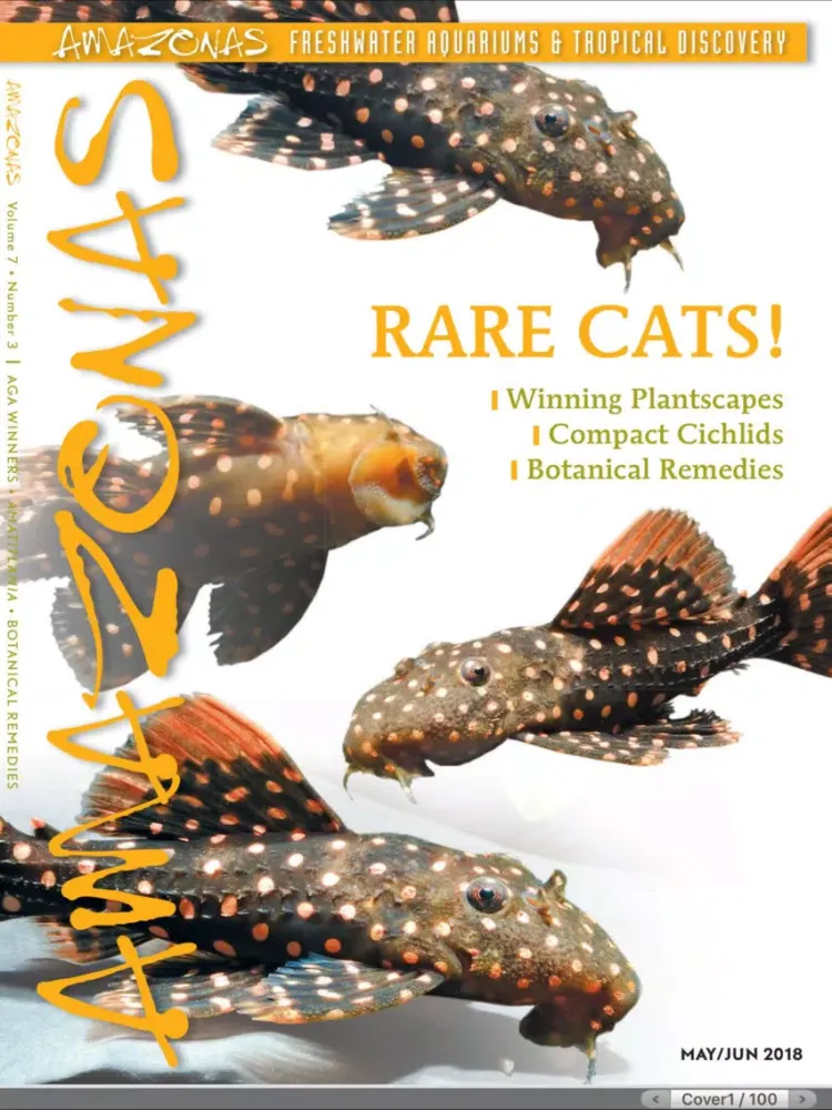 Скриншоты Amazonas Magazine iPad 