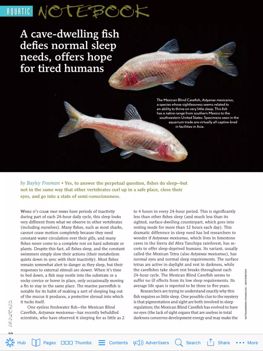 Amazonas Magazine iPad 應用截圖