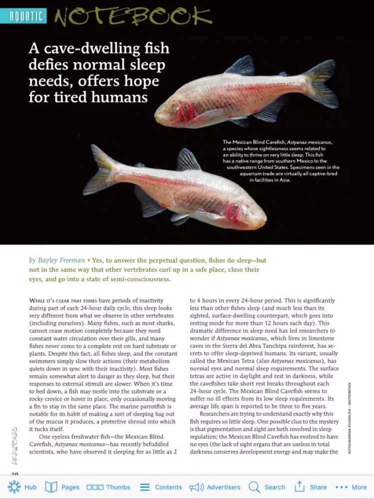 Скриншоты Amazonas Magazine iPad 