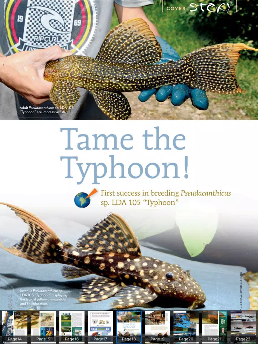 Amazonas Magazine iPad 應用截圖