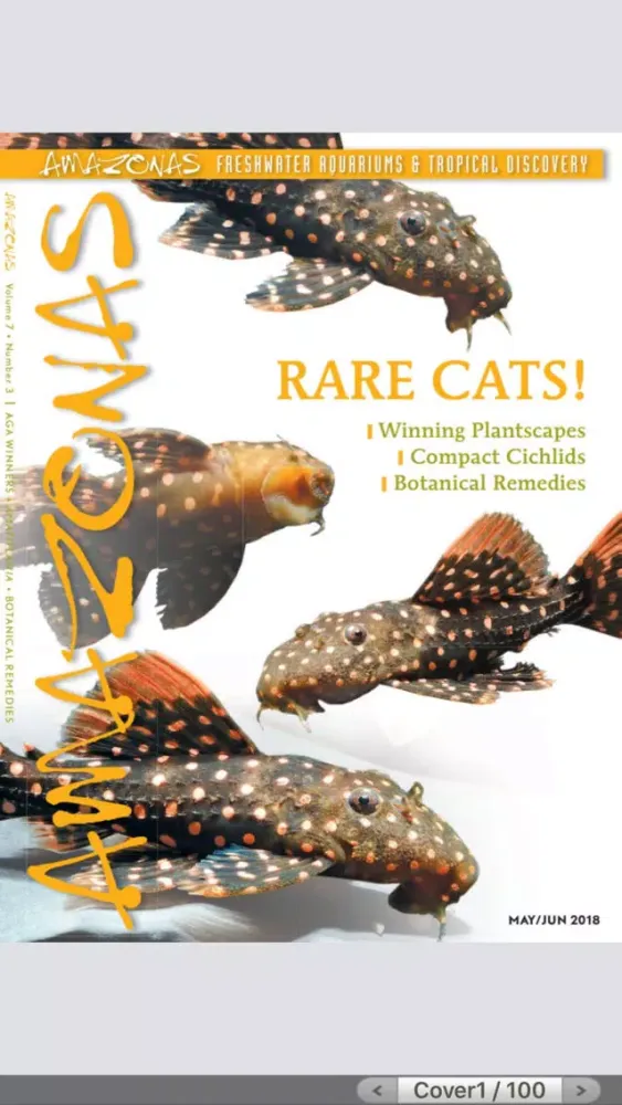 Скриншоты Amazonas Magazine