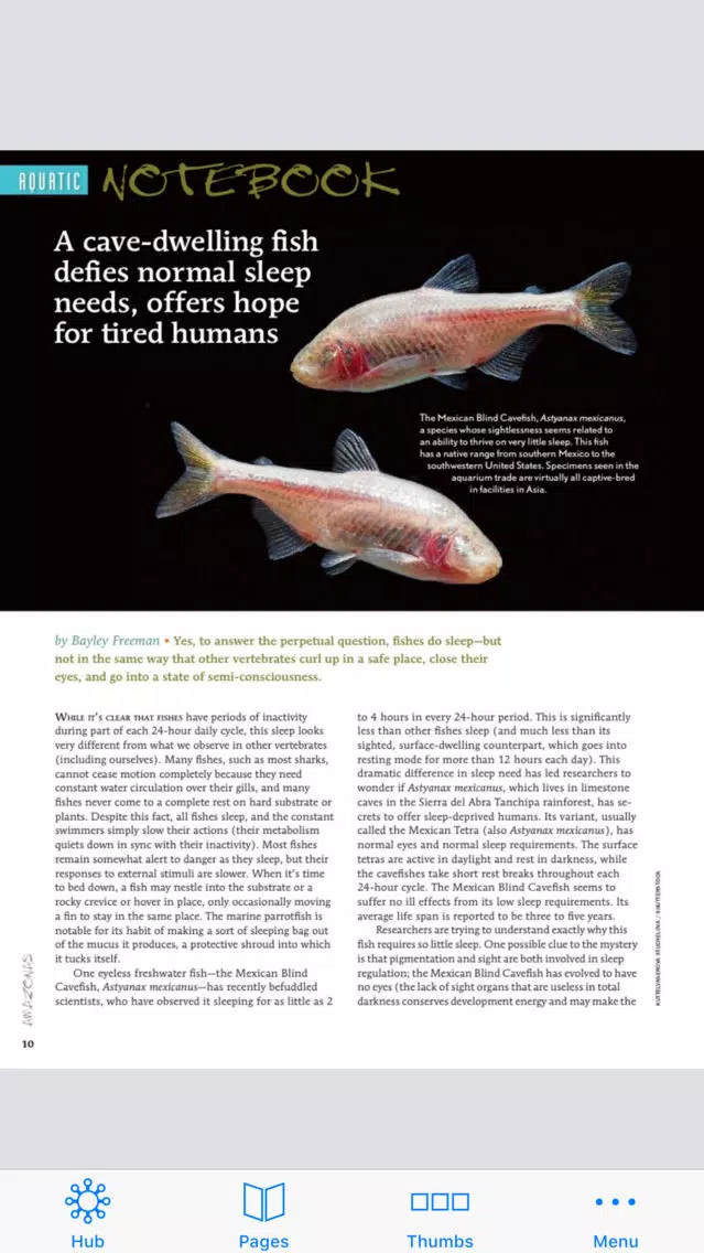 Amazonas Magazine應用截圖