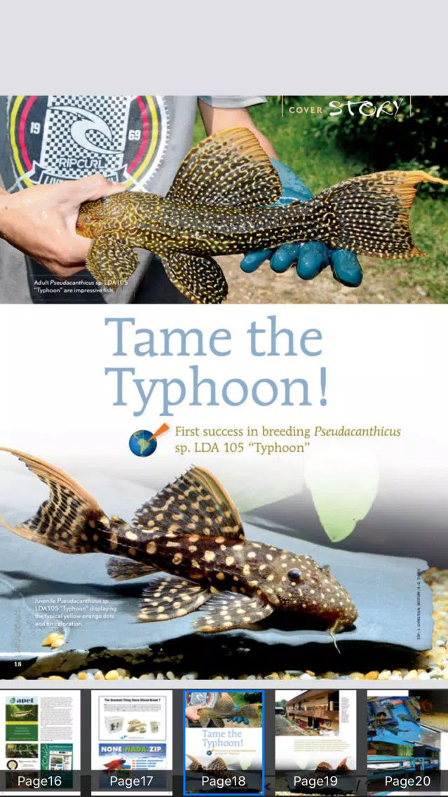 Amazonas Magazine應用截圖