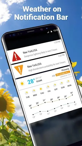 Amber Weather Elite Screenshots