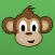 Monkey Bridge