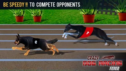 Capturas de tela do Crazy Dog Racing Fever