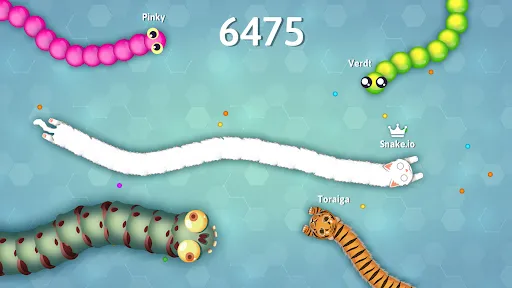 Snake.io - Fun Snake .io Games Screenshots