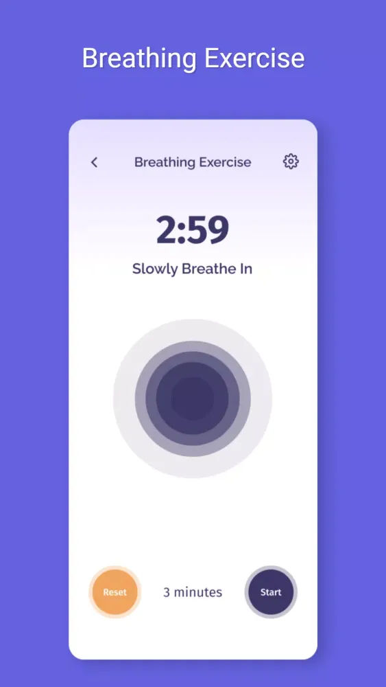 Brain Fit Life 5.0 Screenshots