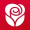 American Greetings Ecards