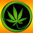 Pot Dots Free Pot Dots Free