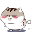 Ami Fat Cat Ami Fat Cat