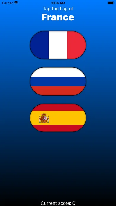 Скриншоты GuessTheFlag Memory Game