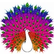 Girly Coloring Book: Draw Arts Girly Coloring Book: Draw Arts