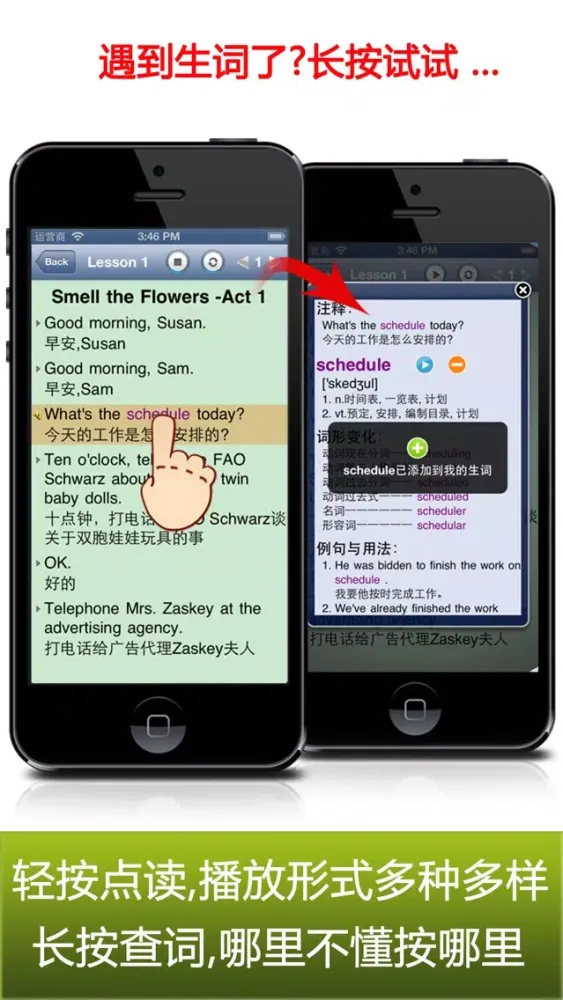 USA family life English 3 스크린샷