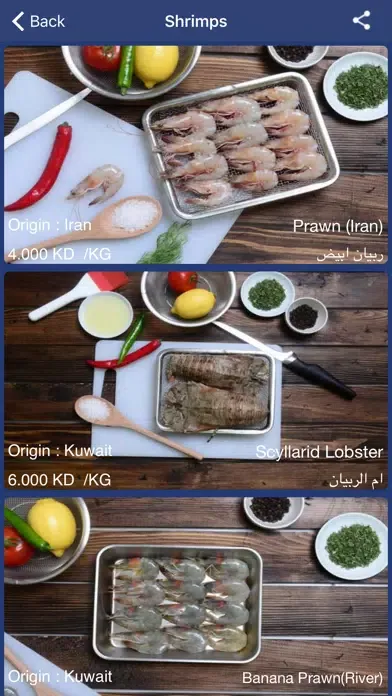 yalfish スクリーンショット