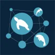 SIREN Network SIREN Network