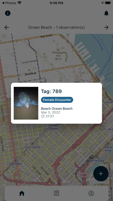 SIREN Network Screenshots