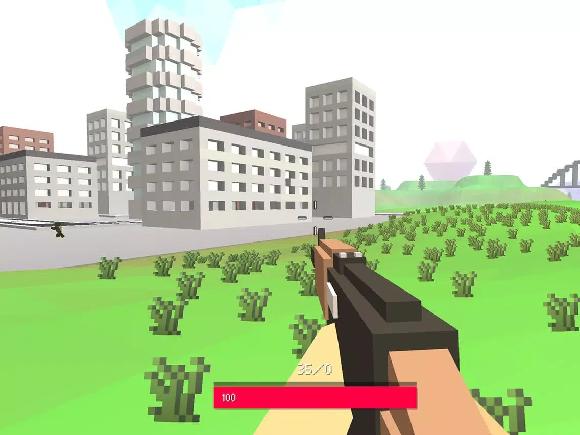 Block Warfare Royale Lite iPad  स्क्रीनशॉट