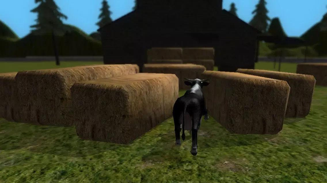 Crazy Cow Simulator FREE Screenshots