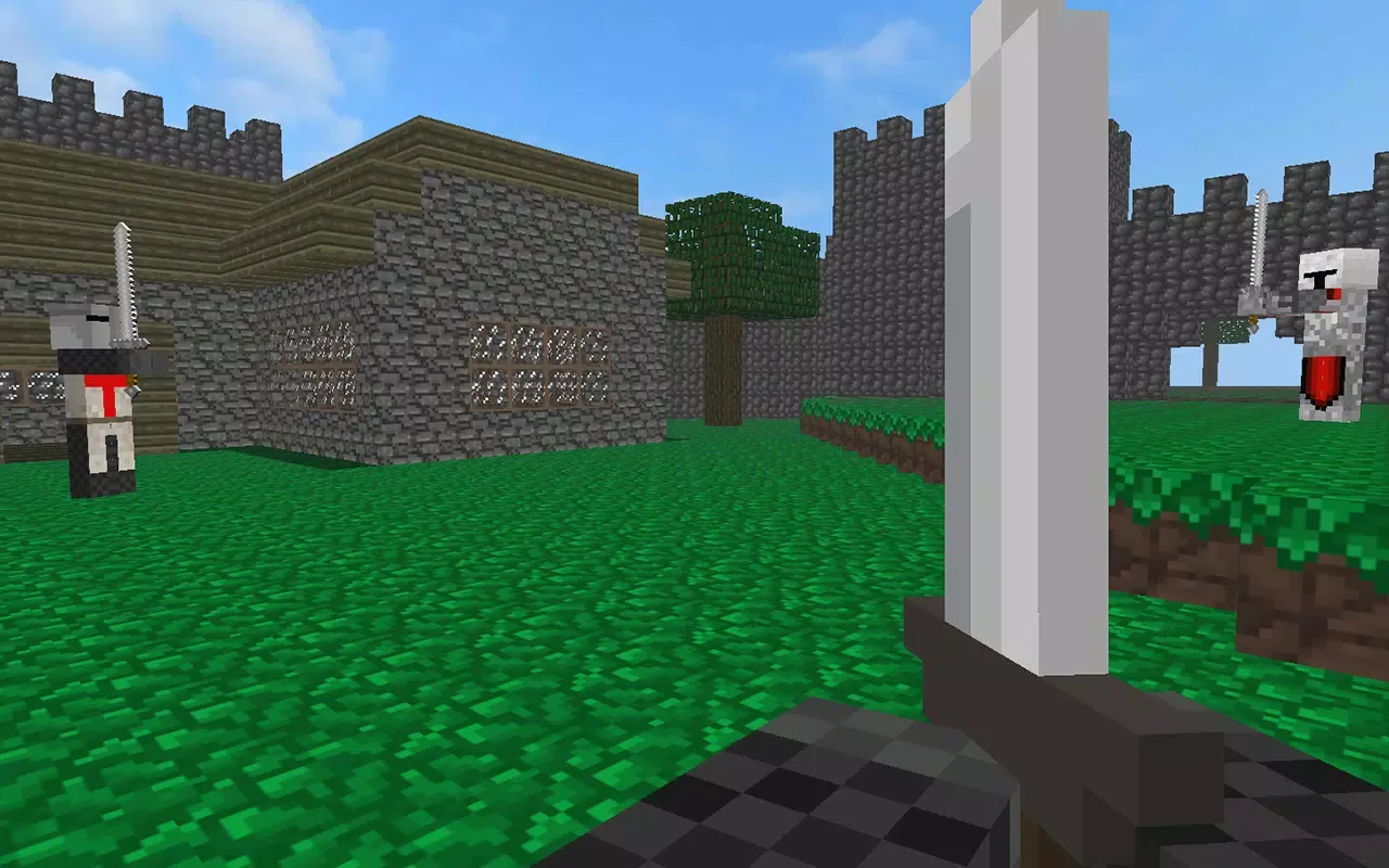 Block Warfare: Medieval Combat سکرین شاٹس