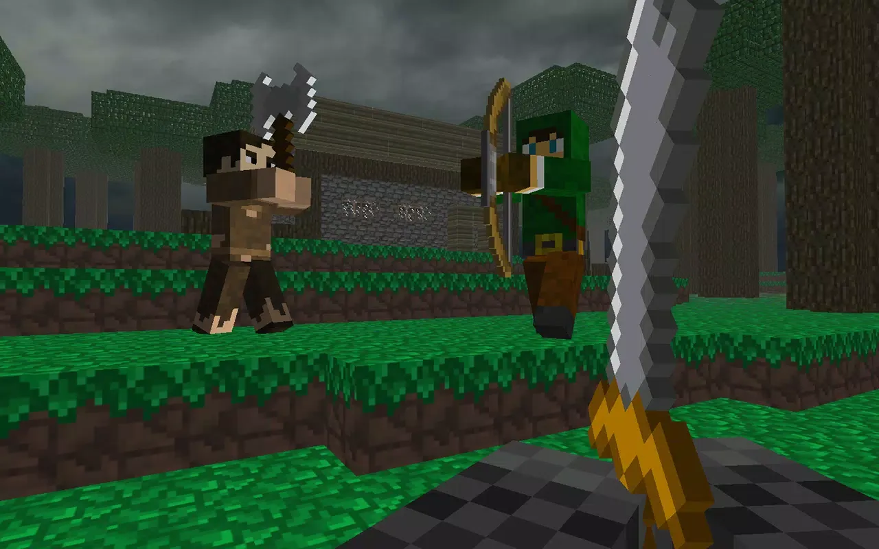 Block Warfare: Medieval Combat سکرین شاٹس