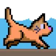 Tappy Cat Tappy Cat