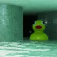 The Wetrooms: Liminal Pools